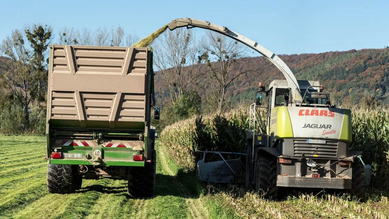Feldhäcksler mit Abfahrwagen bei der Maisernte