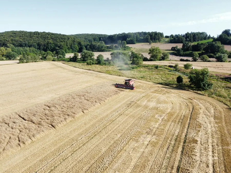 Mähdrescher bei der Ernte im Harzvorland